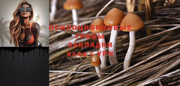 скорость Бородино
